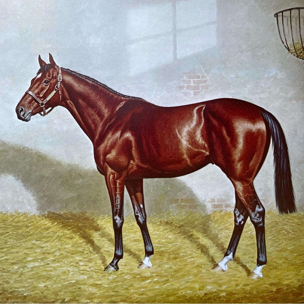 Richard Stone Reeves print book page Nijinsky thoroughbred horse racing art vtg